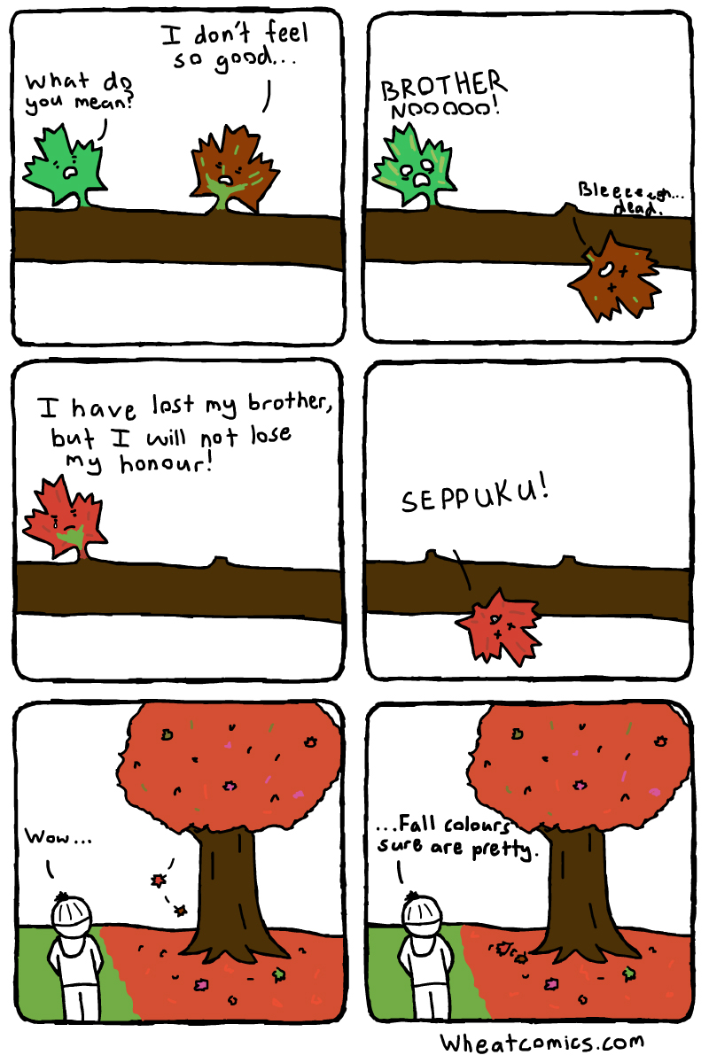 Fall