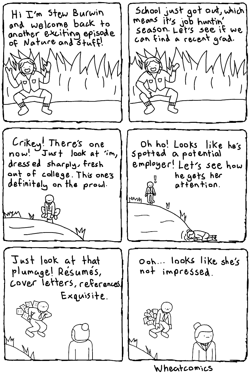 Job Hunt