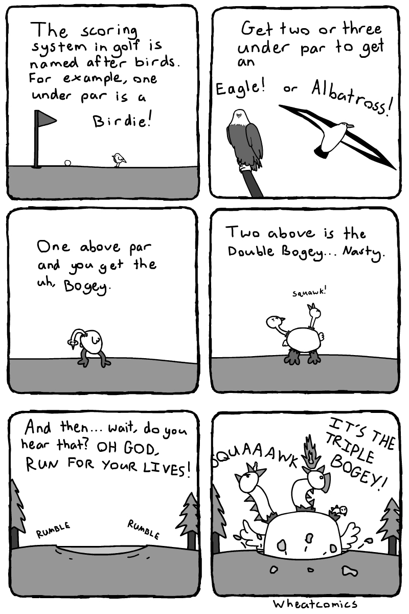 Birds