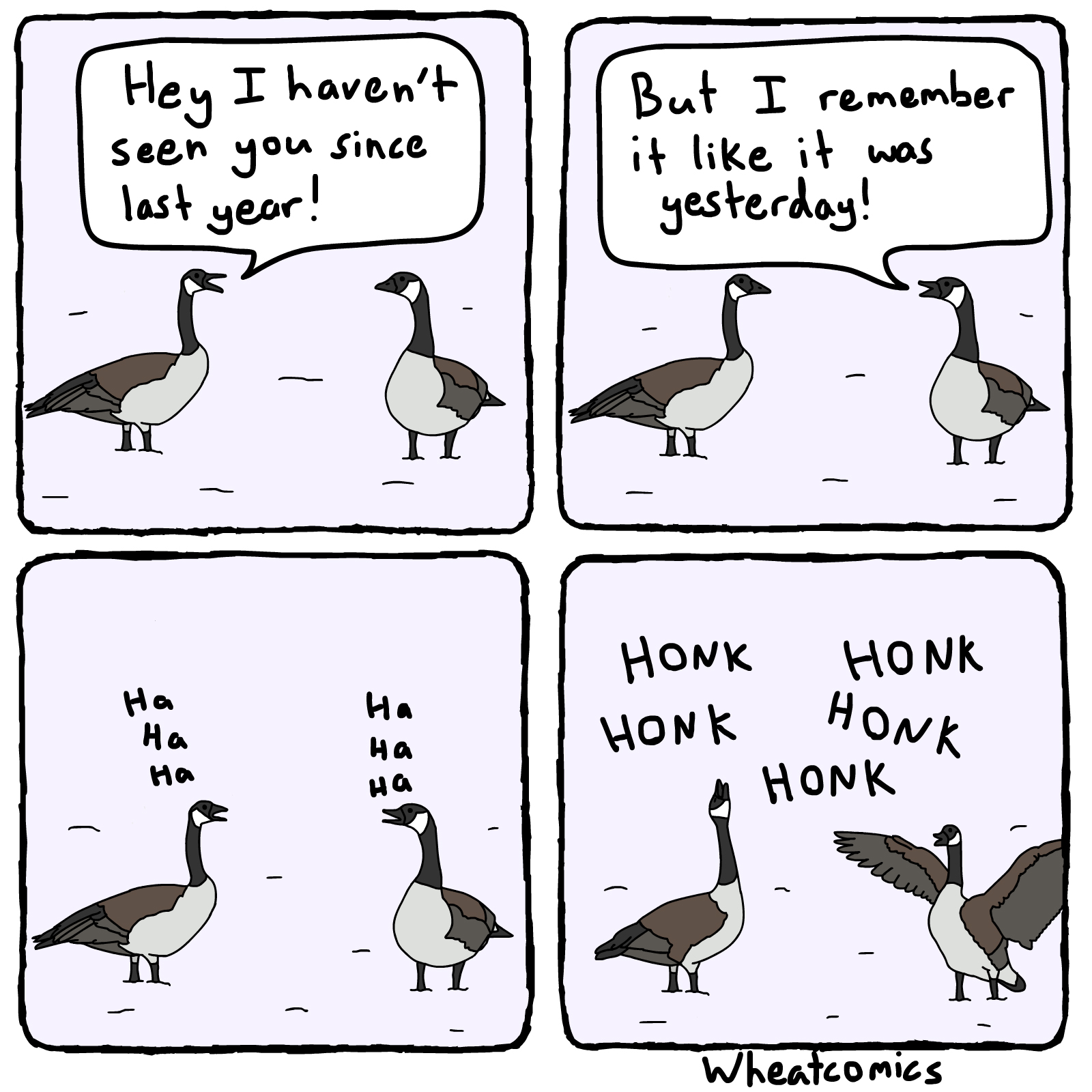 Honky New Year